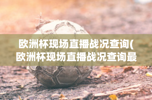 欧洲杯现场直播战况查询(欧洲杯现场直播战况查询最新)