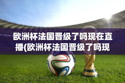 欧洲杯法国晋级了吗现在直播(欧洲杯法国晋级了吗现在直播在哪看)