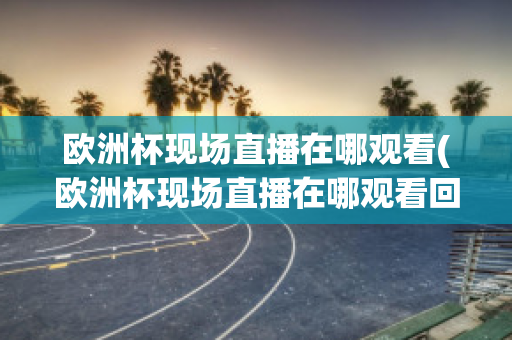 欧洲杯现场直播在哪观看(欧洲杯现场直播在哪观看回放)