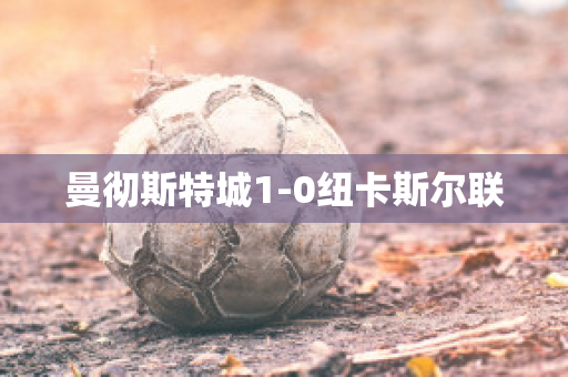 曼彻斯特城1-0纽卡斯尔联