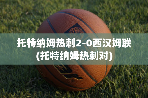 托特纳姆热刺2-0西汉姆联(托特纳姆热刺对)