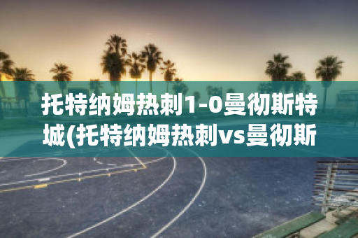 托特纳姆热刺1-0曼彻斯特城(托特纳姆热刺vs曼彻斯特城比分)