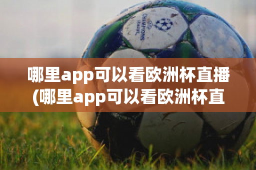 哪里app可以看欧洲杯直播(哪里app可以看欧洲杯直播)