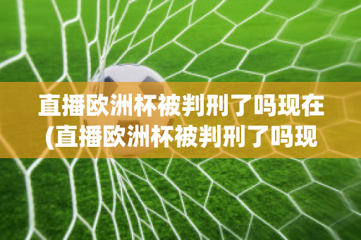 直播欧洲杯被判刑了吗现在(直播欧洲杯被判刑了吗现在还能看吗)