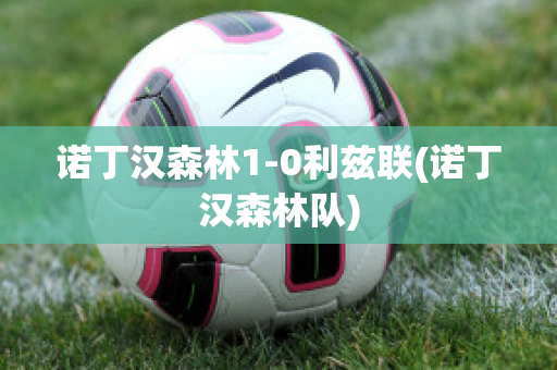 诺丁汉森林1-0利兹联(诺丁汉森林队)