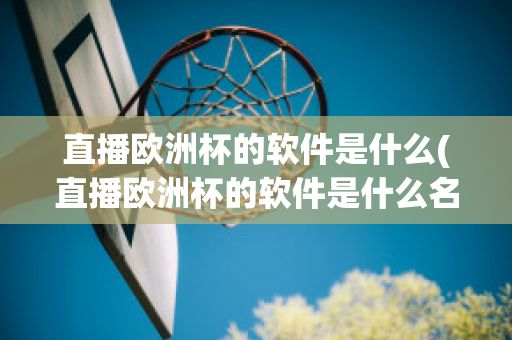 直播欧洲杯的软件是什么(直播欧洲杯的软件是什么名字)