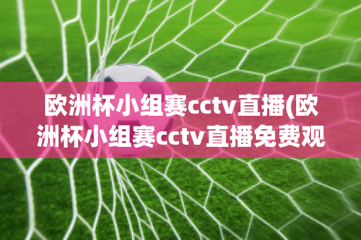 欧洲杯小组赛cctv直播(欧洲杯小组赛cctv直播免费观看)