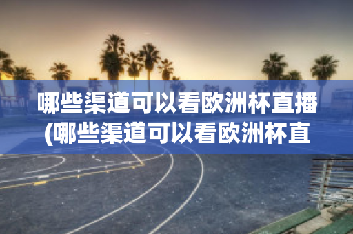 哪些渠道可以看欧洲杯直播(哪些渠道可以看欧洲杯直播视频)