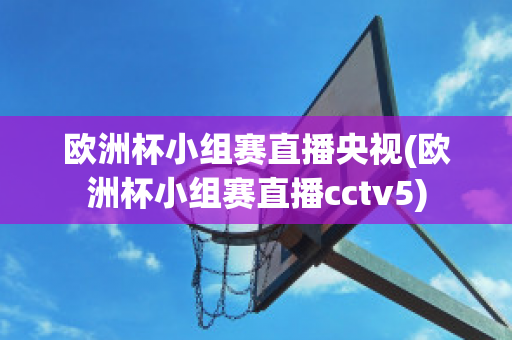 欧洲杯小组赛直播央视(欧洲杯小组赛直播cctv5)