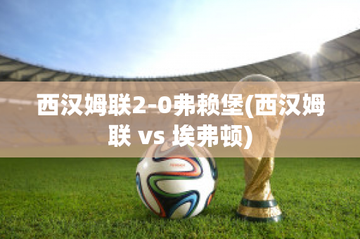 西汉姆联2-0弗赖堡(西汉姆联 vs 埃弗顿)