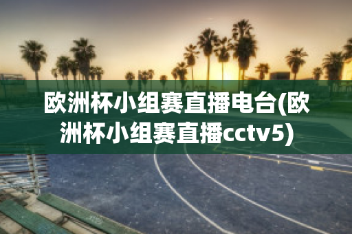 欧洲杯小组赛直播电台(欧洲杯小组赛直播cctv5)