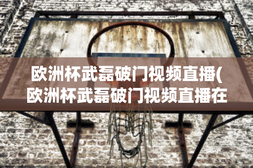 欧洲杯武磊破门视频直播(欧洲杯武磊破门视频直播在线观看)