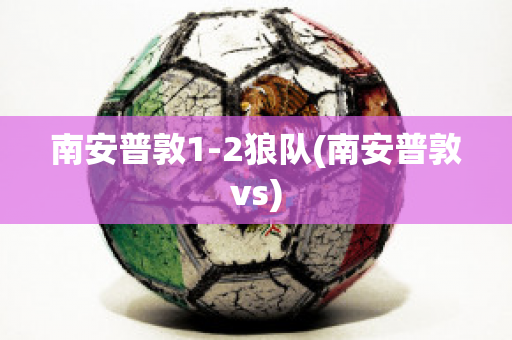 南安普敦1-2狼队(南安普敦vs)