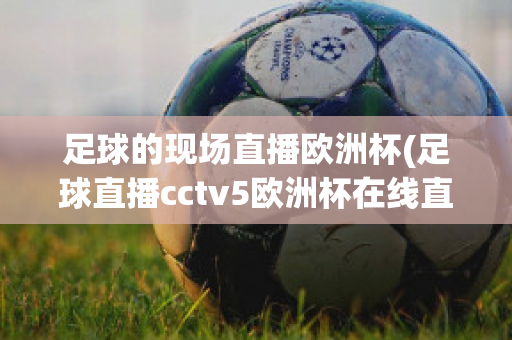 足球的现场直播欧洲杯(足球直播cctv5欧洲杯在线直播)