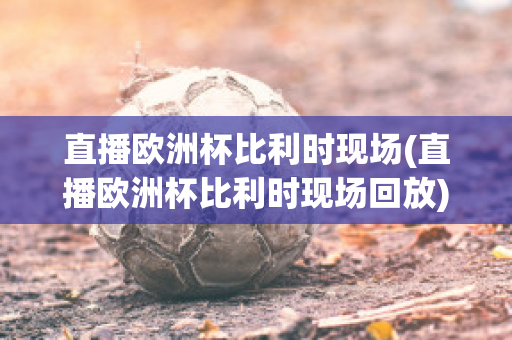 直播欧洲杯比利时现场(直播欧洲杯比利时现场回放)