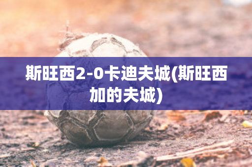 斯旺西2-0卡迪夫城(斯旺西加的夫城)