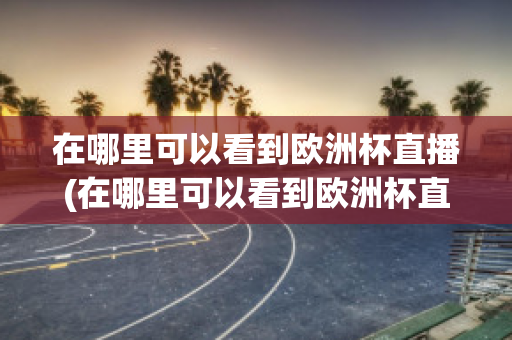 在哪里可以看到欧洲杯直播(在哪里可以看到欧洲杯直播视频)