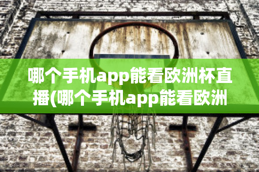 哪个手机app能看欧洲杯直播(哪个手机app能看欧洲杯直播视频)