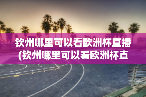 钦州哪里可以看欧洲杯直播(钦州哪里可以看欧洲杯直播的地方)