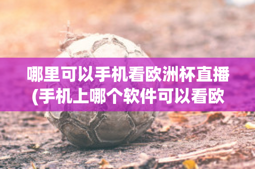 哪里可以手机看欧洲杯直播(手机上哪个软件可以看欧洲杯直播)