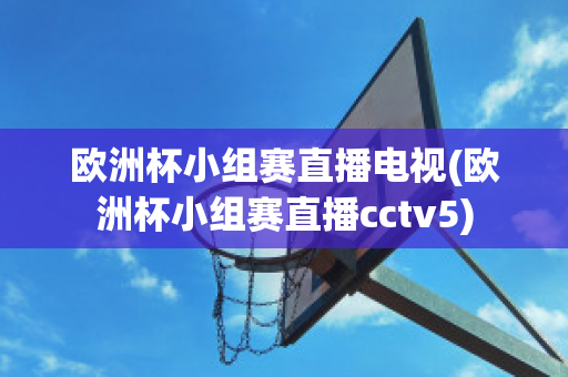 欧洲杯小组赛直播电视(欧洲杯小组赛直播cctv5)