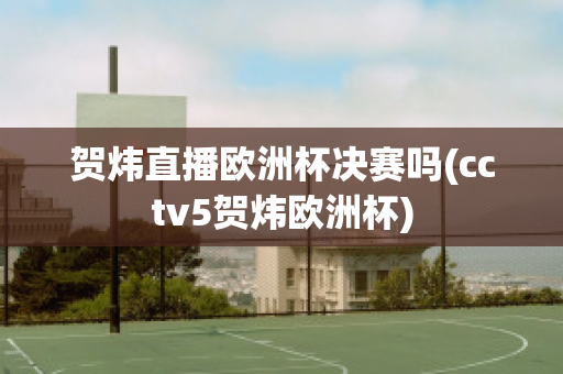 贺炜直播欧洲杯决赛吗(cctv5贺炜欧洲杯)