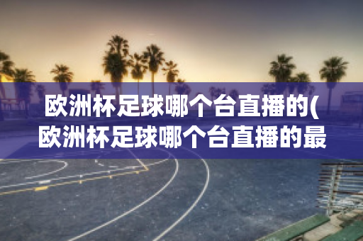 欧洲杯足球哪个台直播的(欧洲杯足球哪个台直播的最多)