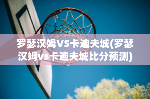 罗瑟汉姆VS卡迪夫城(罗瑟汉姆vs卡迪夫城比分预测)