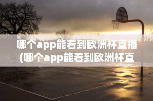 哪个app能看到欧洲杯直播(哪个app能看到欧洲杯直播视频)