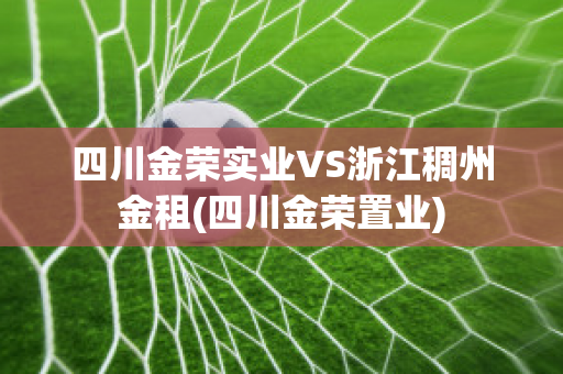 四川金荣实业VS浙江稠州金租(四川金荣置业)