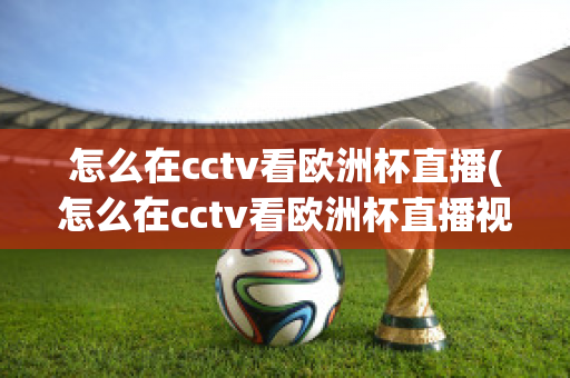 怎么在cctv看欧洲杯直播(怎么在cctv看欧洲杯直播视频)