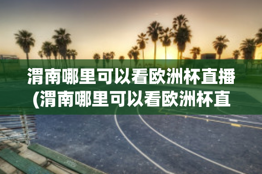 渭南哪里可以看欧洲杯直播(渭南哪里可以看欧洲杯直播的地方)