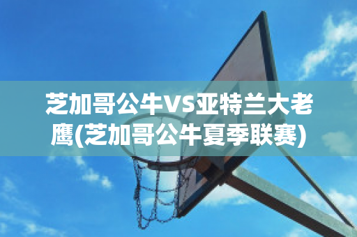 芝加哥公牛VS亚特兰大老鹰(芝加哥公牛夏季联赛)