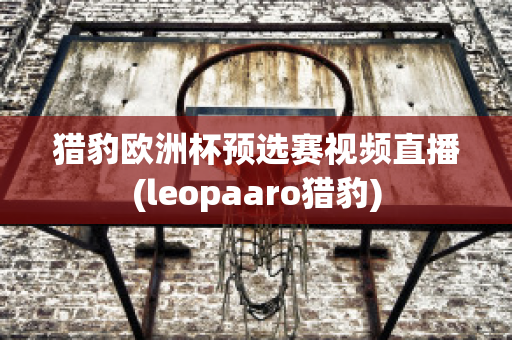 猎豹欧洲杯预选赛视频直播(leopaaro猎豹)