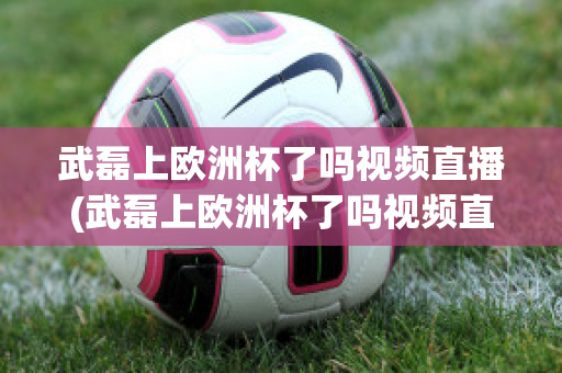 武磊上欧洲杯了吗视频直播(武磊上欧洲杯了吗视频直播在线观看)