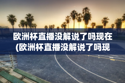 欧洲杯直播没解说了吗现在(欧洲杯直播没解说了吗现在还能看吗)