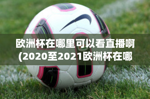 欧洲杯在哪里可以看直播啊(2020至2021欧洲杯在哪里可以看直播)