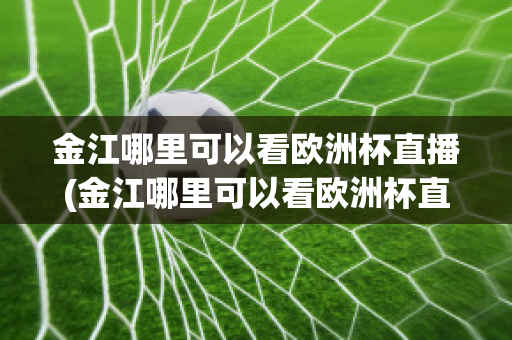 金江哪里可以看欧洲杯直播(金江哪里可以看欧洲杯直播回放)