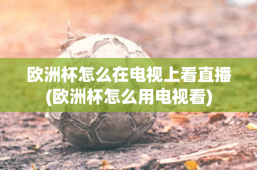 欧洲杯怎么在电视上看直播(欧洲杯怎么用电视看)