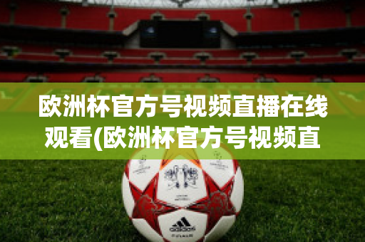 欧洲杯官方号视频直播在线观看(欧洲杯官方号视频直播在线观看下载)