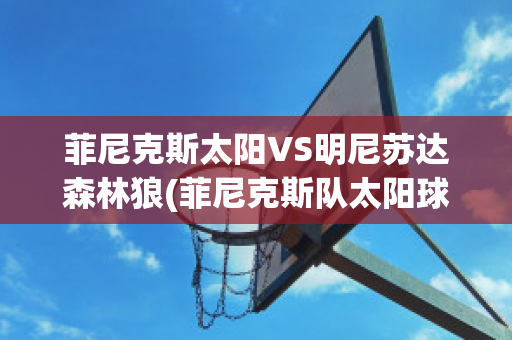 菲尼克斯太阳VS明尼苏达森林狼(菲尼克斯队太阳球员)