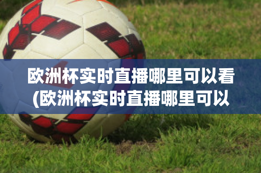 欧洲杯实时直播哪里可以看(欧洲杯实时直播哪里可以看到)