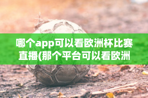 哪个app可以看欧洲杯比赛直播(那个平台可以看欧洲杯)