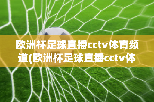 欧洲杯足球直播cctv体育频道(欧洲杯足球直播cctv体育频道回放)