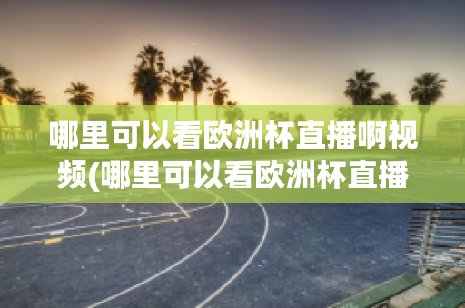 哪里可以看欧洲杯直播啊视频(哪里可以看欧洲杯直播啊视频回放)