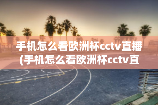 手机怎么看欧洲杯cctv直播(手机怎么看欧洲杯cctv直播回放)