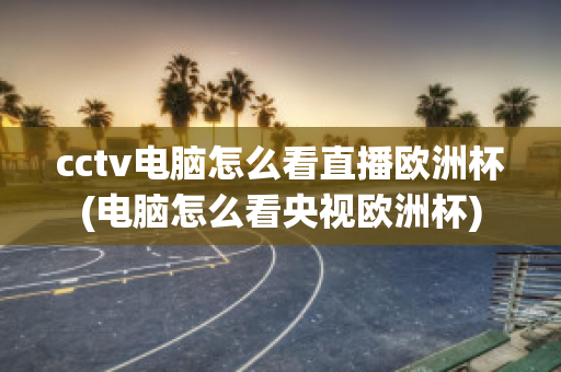 cctv电脑怎么看直播欧洲杯(电脑怎么看央视欧洲杯)