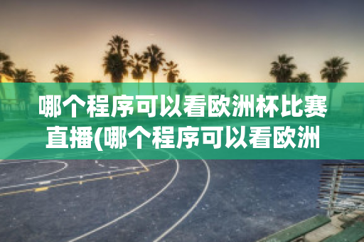 哪个程序可以看欧洲杯比赛直播(哪个程序可以看欧洲杯比赛直播回放)