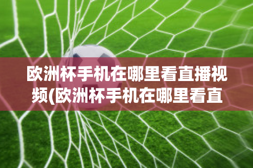 欧洲杯手机在哪里看直播视频(欧洲杯手机在哪里看直播视频软件)