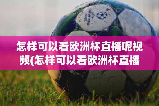 怎样可以看欧洲杯直播呢视频(怎样可以看欧洲杯直播呢视频回放)